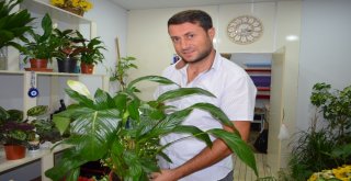 (Özel) İmkansızı Başarınca Hayatı Çiçeklerle Doldu