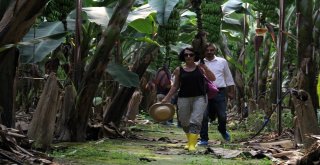 Alanya Muzunun Sırrı Araştırılıyor