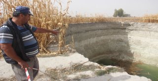 Obruk Sayısı Artıyor, Çevrede Hayat Devam Ediyor