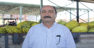 Çankırıda Kavun Üretimi Yüzleri Güldürdü