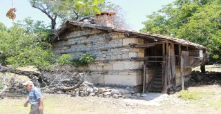 Sit Alanı İçinde Kalınca Hayatları Çekilmez Hale Geldi