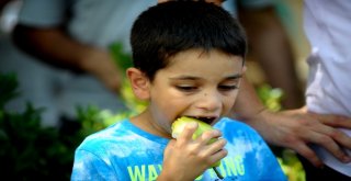 Gürsuda Armut Festivali Coşkusu