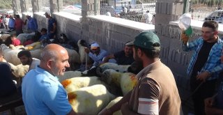 Kurban Pazarında Hareketlilik