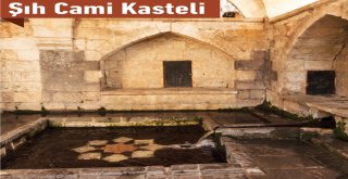 Şahinbeyde Kasteller Gün Yüzüne Çıktı