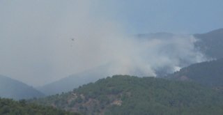 Hataydaki Orman Yangını Kontrol Altına Alındı