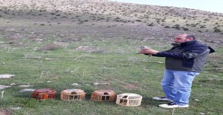 Kafes Avcılarına Büyük Ceza