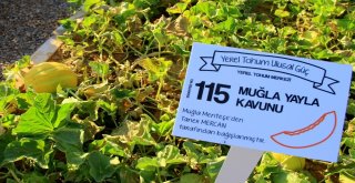 Yerel Tohum Merkezi Açıldı