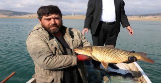 Denize Kıyısı Olmayan Yozgattan Avrupa Ve Orta Doğu Ülkelerine Balık İhracatı