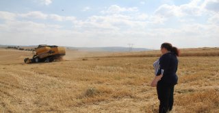 Eşini Kaybetti Mücadeleden Yılmadı Azmiyle Köylü Kadınlara Örnek Oldu