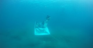 Engelli Dalış Rekortmeninden Anlamlı Dalış