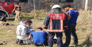 Hadımköyde Asit Kazanı Patlaması Afadı Harekete Geçirdi