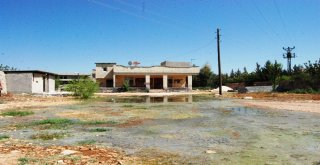 Yazın Ortasında Kışı Yaşıyorlar