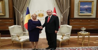 Cumhurbaşkanı Erdoğan, Romanya Başbakanı Dancilayı Kabul Etti
