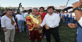 Altın Kirazın Başpehlivanı Ali Gürbüz Oldu