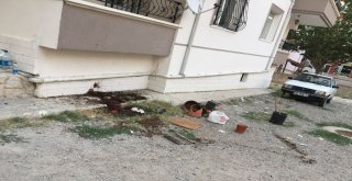 Bıçakladığı Karısını Balkondan Attı, Yetmedi Üzerine Saksı Fırlattı