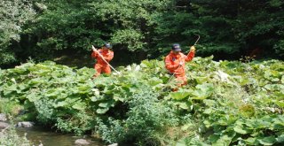 Tokatta Kayıp Çocuklardan Bayrama Ait İz Bulan Jak Ekibi Evrimi Arıyor