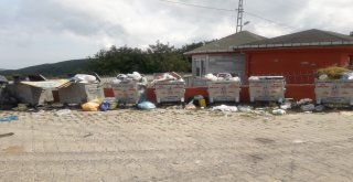 Tatilcilerin Bıraktığı Çöpler, Özel İdare Ekiplerince Toplanıyor