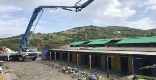 Sokak Hayvanları Rehabilitasyon Ve Bakım Merkezi Yenileniyor