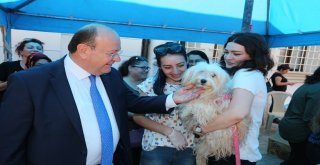Başkan Özakcanın Hayvanları Koruma Günü Mesajı