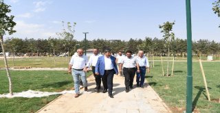 Göletli Parkta Yeşillendirme Çalışması