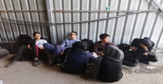 Vanda 136 Kaçak Göçmen Yakalandı