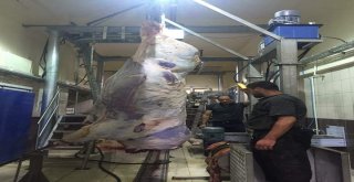 Demirözü İlçesine Modern Mezbahane