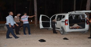 Çamlık Alanda Alkol Alanlara Polis Ve Bekçilerden Uygulama
