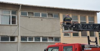 Kırlangıç İçin Seferber Olan İtfaiye Ekipleri Olay Yerinden Üzgün Ayrıldı