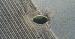 Obruk Sayısı Artıyor, Çevrede Hayat Devam Ediyor