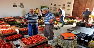 Taşeronun Kazandığı Fahiş Fiyatlara Üretici Darbesi