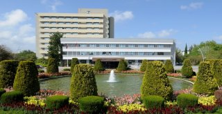 Aü Senatosu, Yahudi Ulus Devlet Yasasını Kınadı