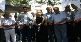 Devrekte Resim Açılan Sergisi Büyük İlgi Gördü