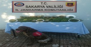 Sakaryada 5 Kilogram Kubar Esrar Ele Geçirildi