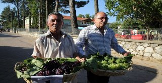 Ormana Üzüm Festivalinde Renkli Görüntüler