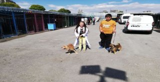 Çocukların Can Dost Hayali