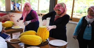 Kırkağaçın En Güzel Kavunu Seçildi