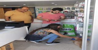 (Özel Haber) Kazancının Yüzde 10Una Kediler Ve Köpekler Ortak