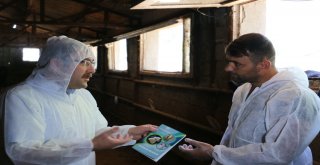 Karayollarında Kurbanlıklara Sıkı Denetim