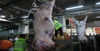 Monoray Sistem İle 4 Dakikada Kurban Kesimi