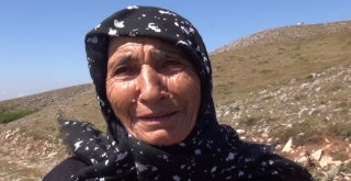 (Özel) Sakaryanın En Yüksek Noktasında Şehitler Dualarla Anıldı