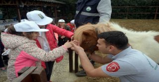 Osmangaziden Sokak Hayvanlarını Koruma Günü Etkinliği