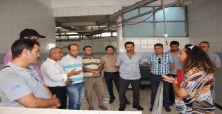 Antalyada Kurban Kesim Kursu