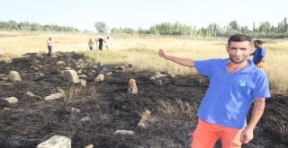 Tarihi Mezarlık Yangınına Polis Toma İle Müdahale Etti