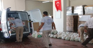 Belediyenin Yetiştirdiği Üzümler Yoksulların Sofrasına Gidiyor