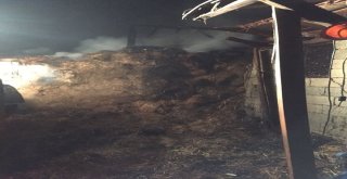 Bolunun Tatlar Köyünde Çıkan Yangında 2 Hayvan Telef Oldu