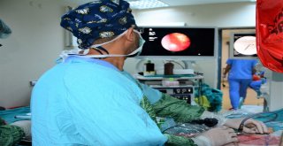 Dü 1 Yaş Altı Böbrek Taşı Ameliyatında Türkiyede Birinci Sırada