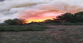 Kastamonuda Ormanlık Alanda Çıkan Yangın Devam Ediyor