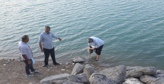 Göletlere 110 Bin Yavru Balık Bırakıldı