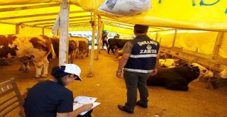 Ümraniyede Kurban Pazarı Denetimleri Devam Ediyor