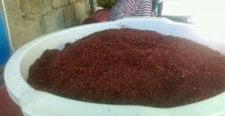 Sumak Ekşisi Kadınların Geçim Kaynağı